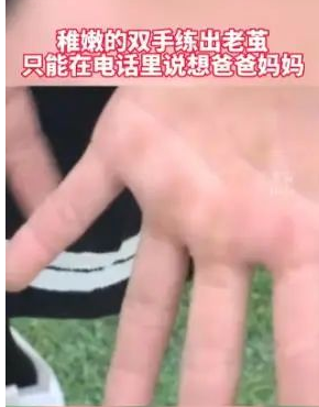 嘉兴7岁女孩省运会体操斩获3金2银，她为此付出了怎样的努力？