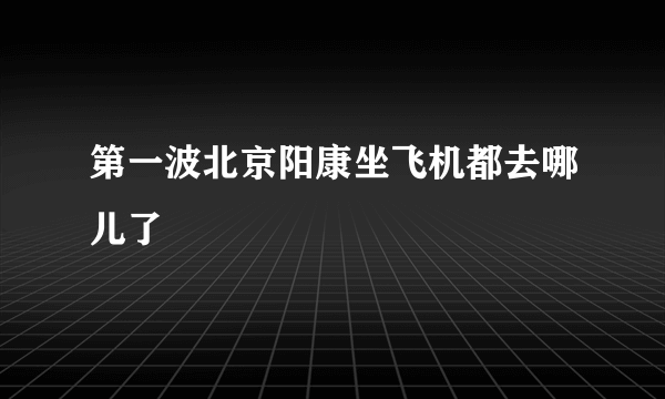 第一波北京阳康坐飞机都去哪儿了