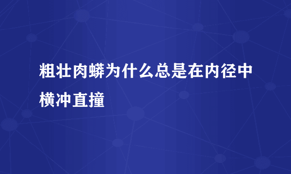 粗壮肉蟒为什么总是在内径中横冲直撞
