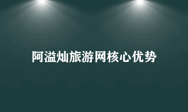 阿溢灿旅游网核心优势