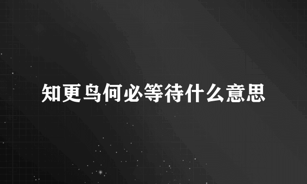 知更鸟何必等待什么意思
