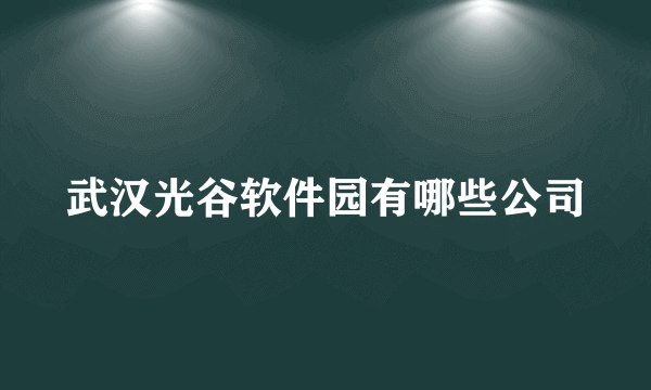 武汉光谷软件园有哪些公司