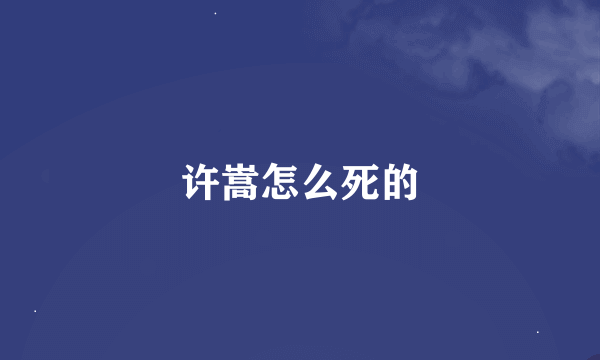 许嵩怎么死的