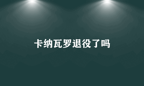 卡纳瓦罗退役了吗