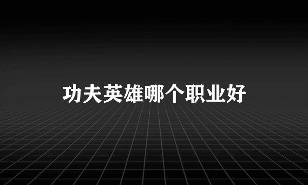 功夫英雄哪个职业好