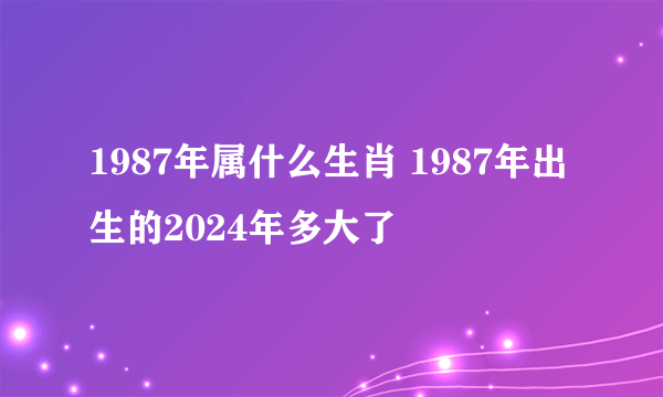 1987年属什么生肖 1987年出生的2024年多大了