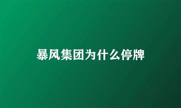 暴风集团为什么停牌