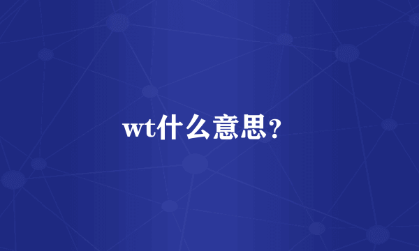 wt什么意思？