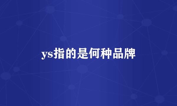 ys指的是何种品牌