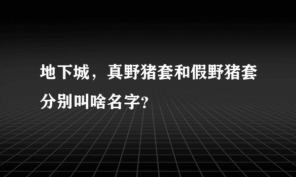 地下城，真野猪套和假野猪套分别叫啥名字？