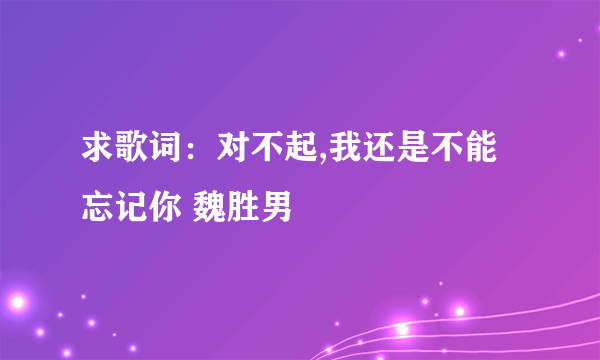 求歌词：对不起,我还是不能忘记你 魏胜男