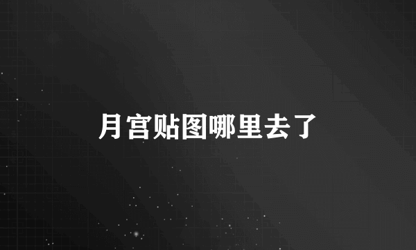 月宫贴图哪里去了