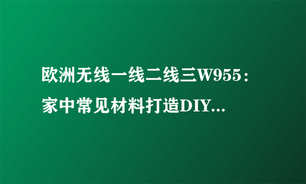 欧洲无线一线二线三W955：家中常见材料打造DIY护肤品！