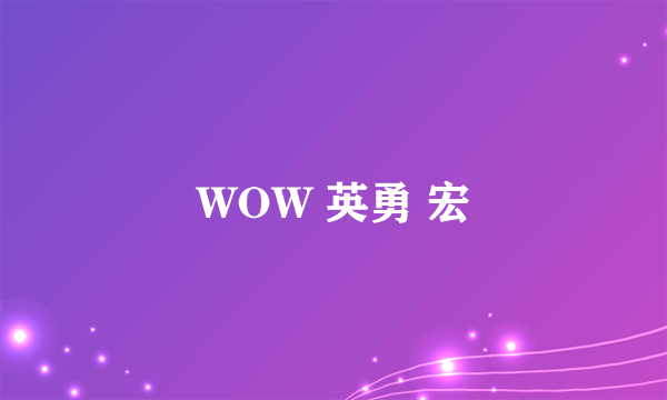 WOW 英勇 宏