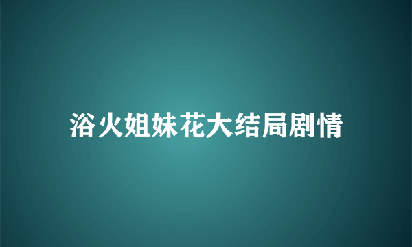 浴火姐妹花大结局剧情
