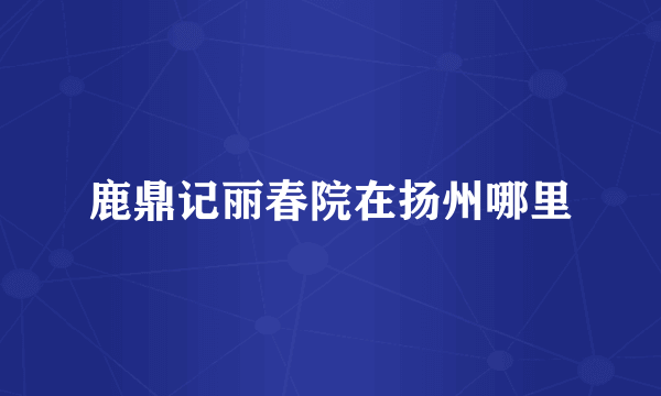 鹿鼎记丽春院在扬州哪里