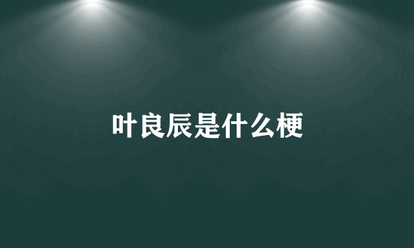 叶良辰是什么梗