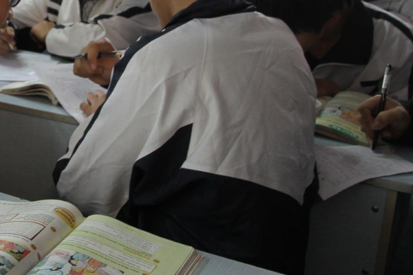 opp的中文是什么意思？