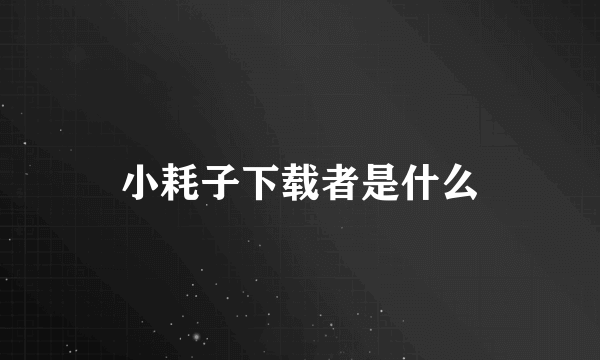 小耗子下载者是什么