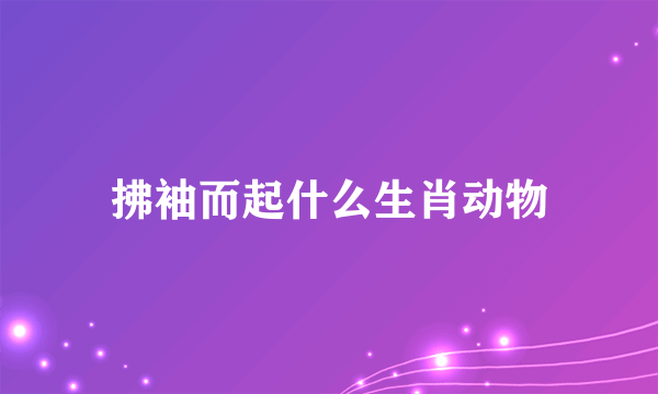 拂袖而起什么生肖动物