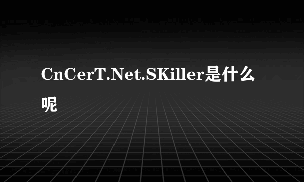 CnCerT.Net.SKiller是什么呢