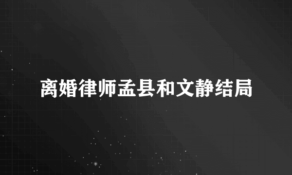 离婚律师孟县和文静结局