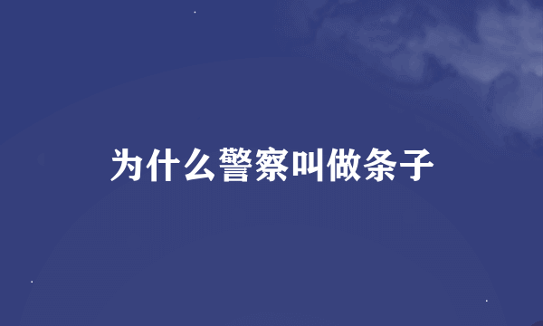 为什么警察叫做条子