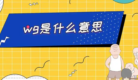 wg是什么意思
