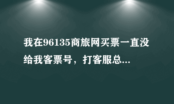 我在96135商旅网买票一直没给我客票号，打客服总是忙，怎么投诉这个网站