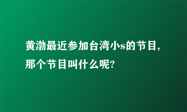 黄渤最近参加台湾小s的节目,那个节目叫什么呢?