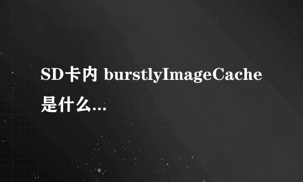SD卡内 burstlyImageCache是什么？ 可以删除不？