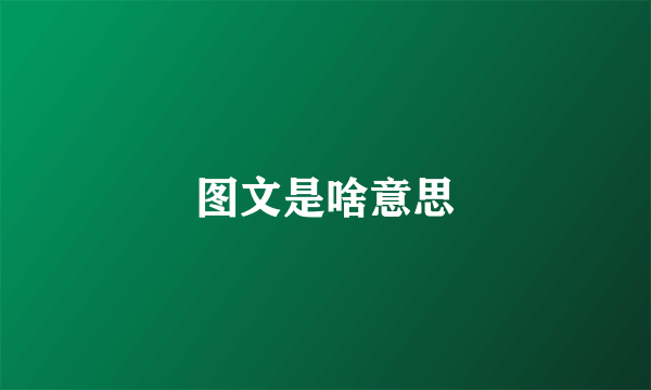 图文是啥意思