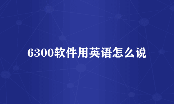 6300软件用英语怎么说