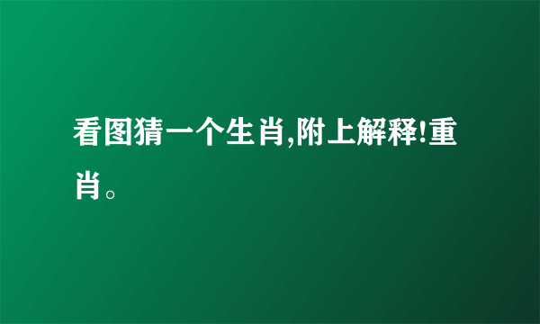 看图猜一个生肖,附上解释!重肖。
