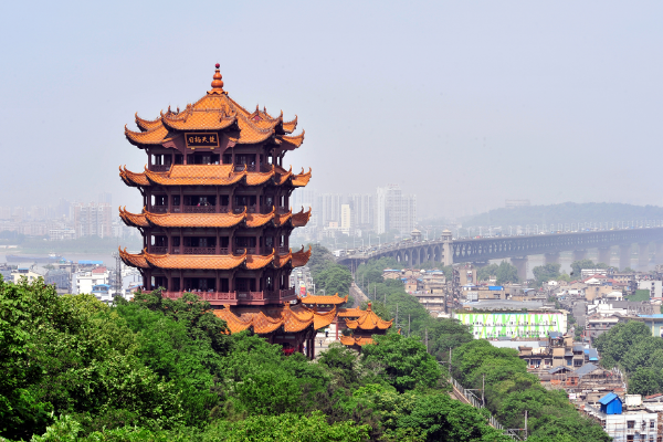 四虎最新地域网名是什么
