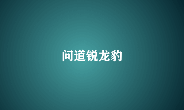 问道锐龙豹