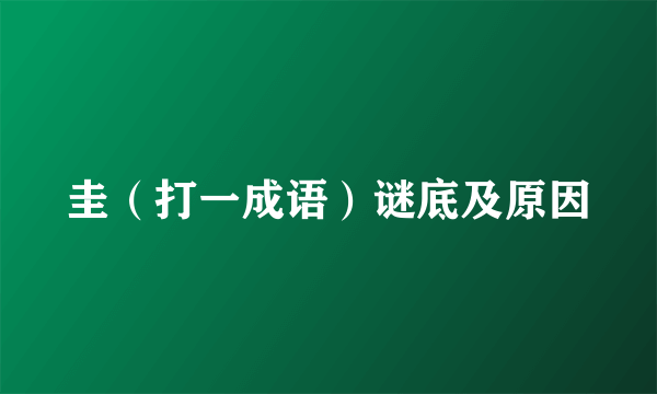 圭（打一成语）谜底及原因