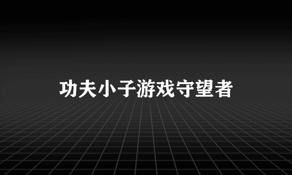 功夫小子游戏守望者