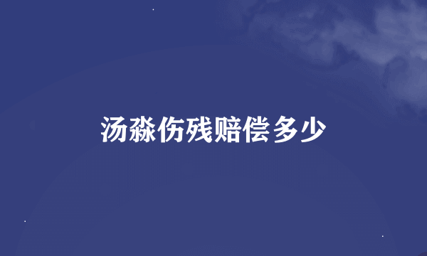 汤淼伤残赔偿多少