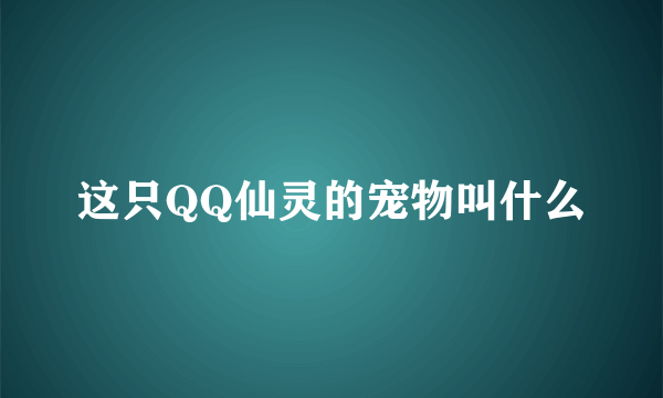 这只QQ仙灵的宠物叫什么