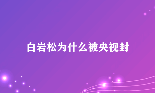 白岩松为什么被央视封