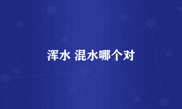 浑水 混水哪个对
