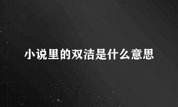 小说里的双洁是什么意思