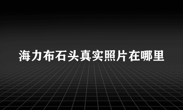海力布石头真实照片在哪里