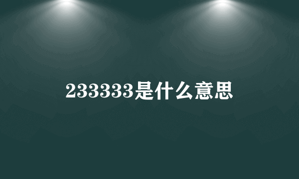 233333是什么意思