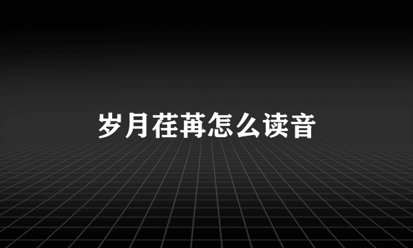 岁月荏苒怎么读音