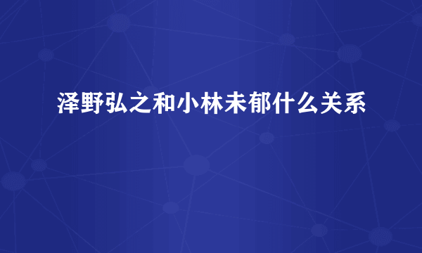 泽野弘之和小林未郁什么关系