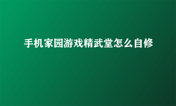 手机家园游戏精武堂怎么自修