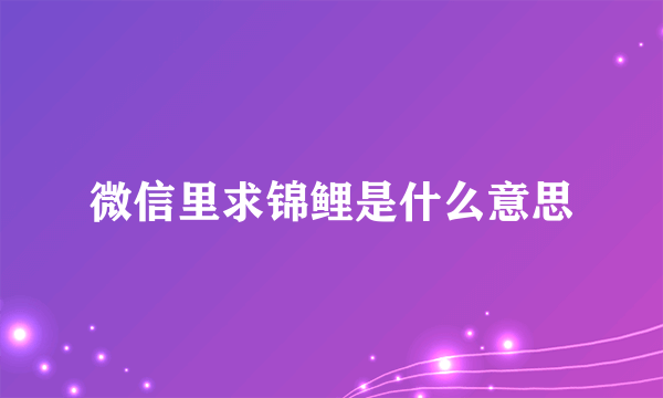 微信里求锦鲤是什么意思