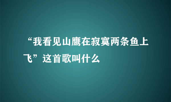 “我看见山鹰在寂寞两条鱼上飞”这首歌叫什么